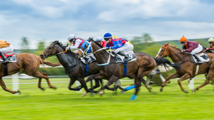Experience the thrill of horse racing, with vibrant jockeys and lush green racecourse under a bright sky.