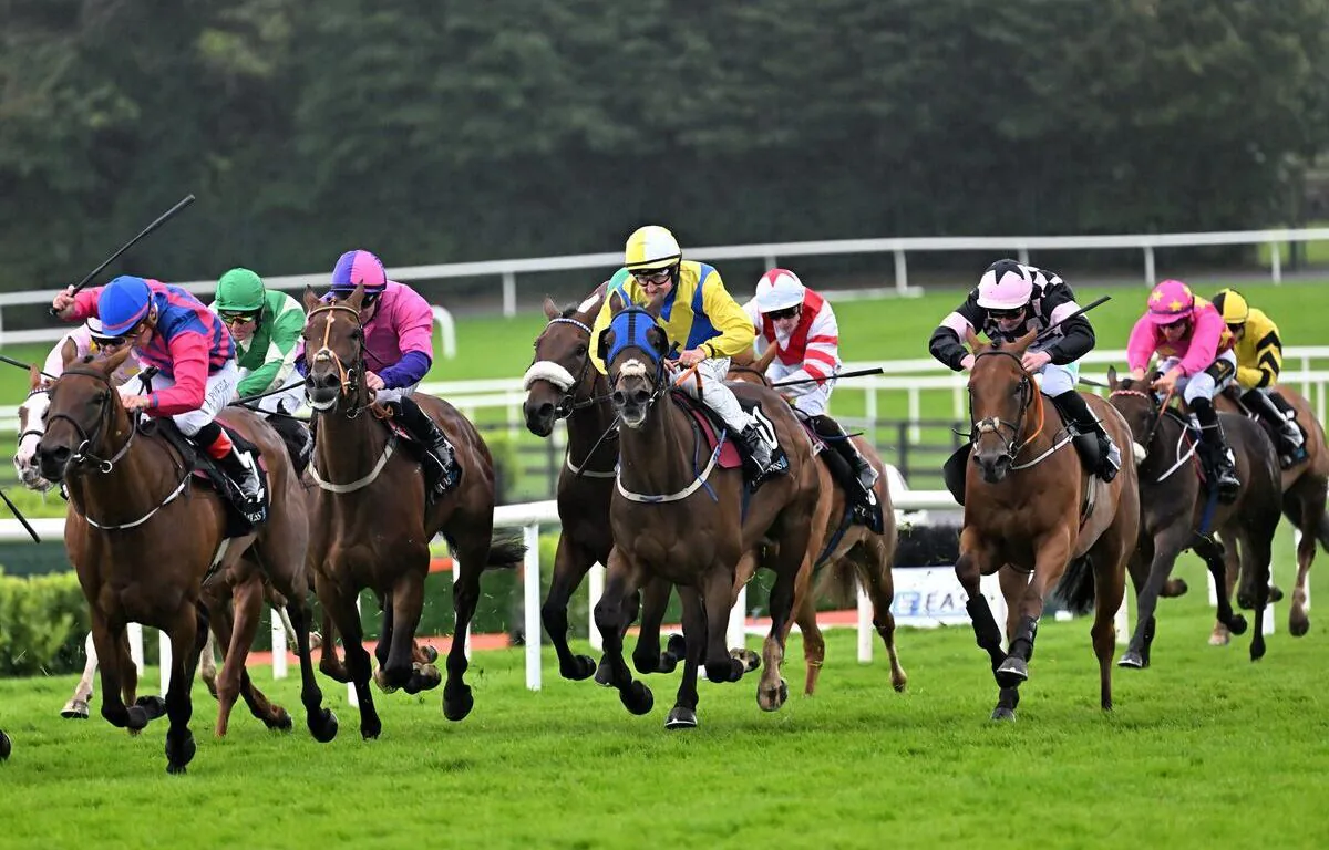Thrilling horse race on lush green track, vibrant jockey colours, near luxury hotel's prime racing event location.