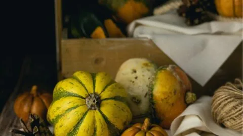 Assorted gourds and pinecones arranged on a table with a white cloth, with a wooden box and more gourds in the background. Text reads: 