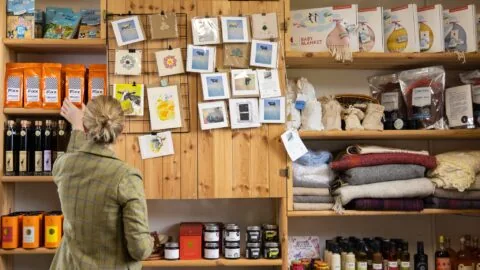 A person browses greeting cards and small gifts on wooden shelves stocked with food items, blankets, and various packaged goods in a shop.